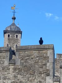 Raven