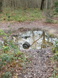 IMG_6601