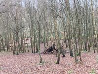 IMG_6604