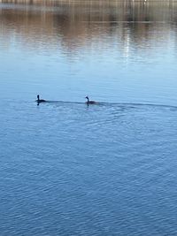 IMG_6639