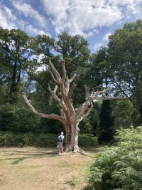 IMG_0004(1)