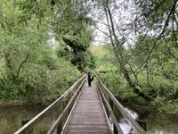 IMG_9973