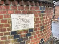 IMG_7842