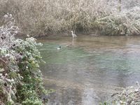 IMG_6506
