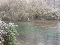 IMG_6507
