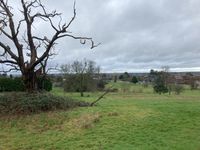 IMG_8026