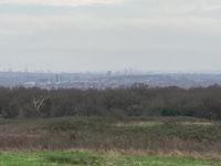 IMG_5549