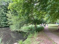 IMG_7240