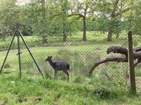IMG_8601