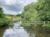 IMG_6003