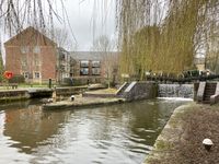 IMG_6803