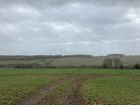 IMG_6804