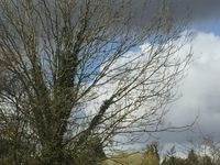 IMG_4235