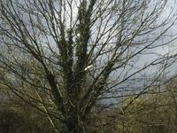 IMG_4237