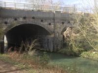 IMG_4241
