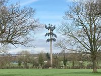 IMG_8055