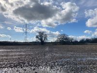 IMG_8060