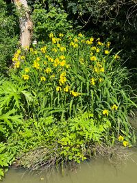 IMG_7100