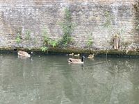 IMG_9426