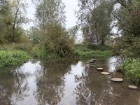 IMG_0226