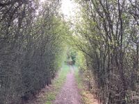 IMG_5430 - Copy