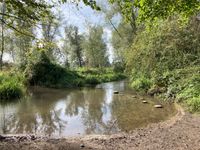 IMG_5433 - Copy