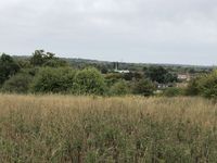 IMG_2855