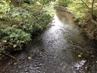 IMG_2860