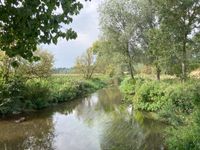 IMG_7394