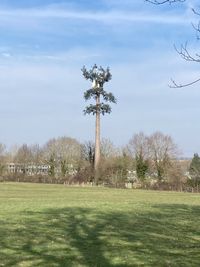 IMG_9260